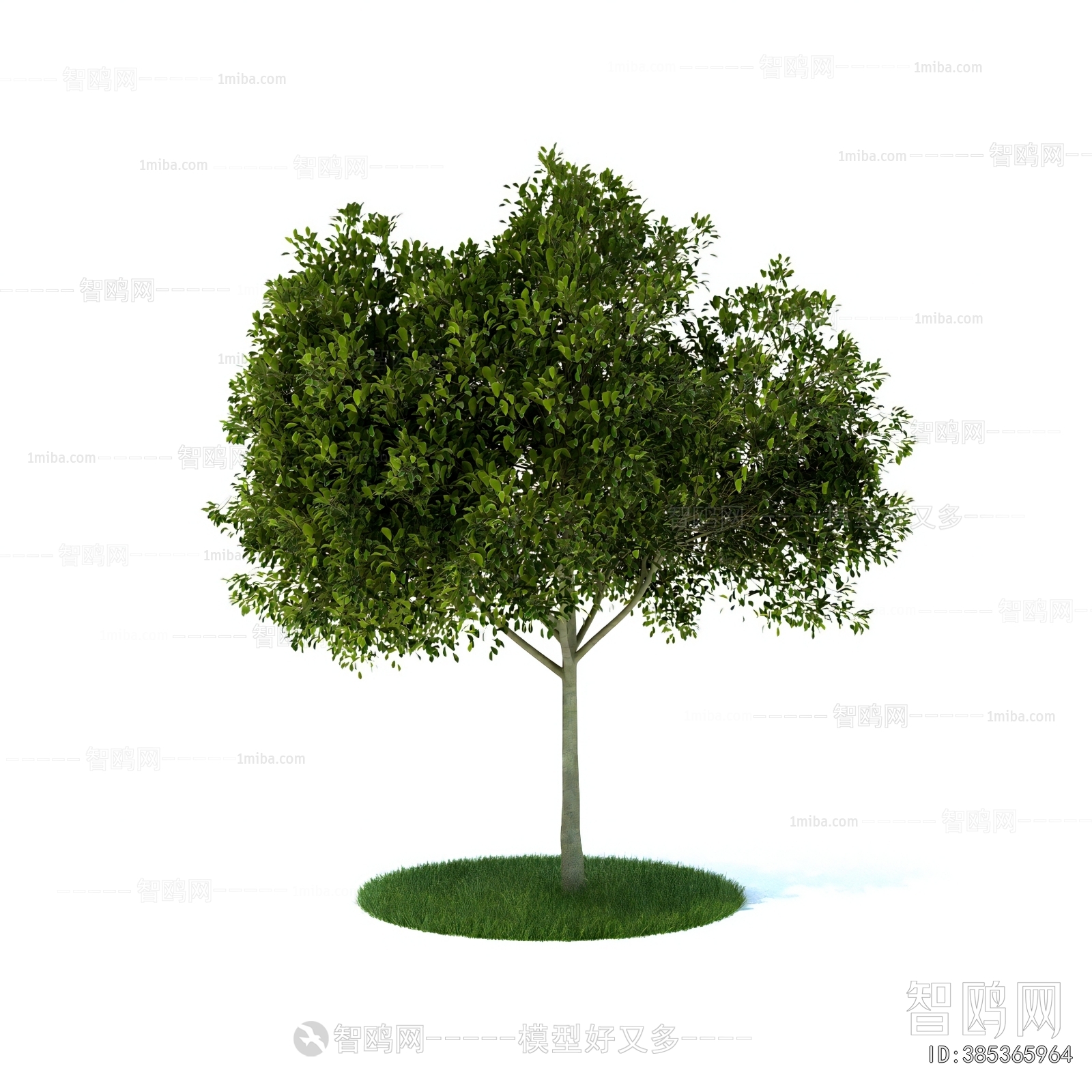 Modern Tree