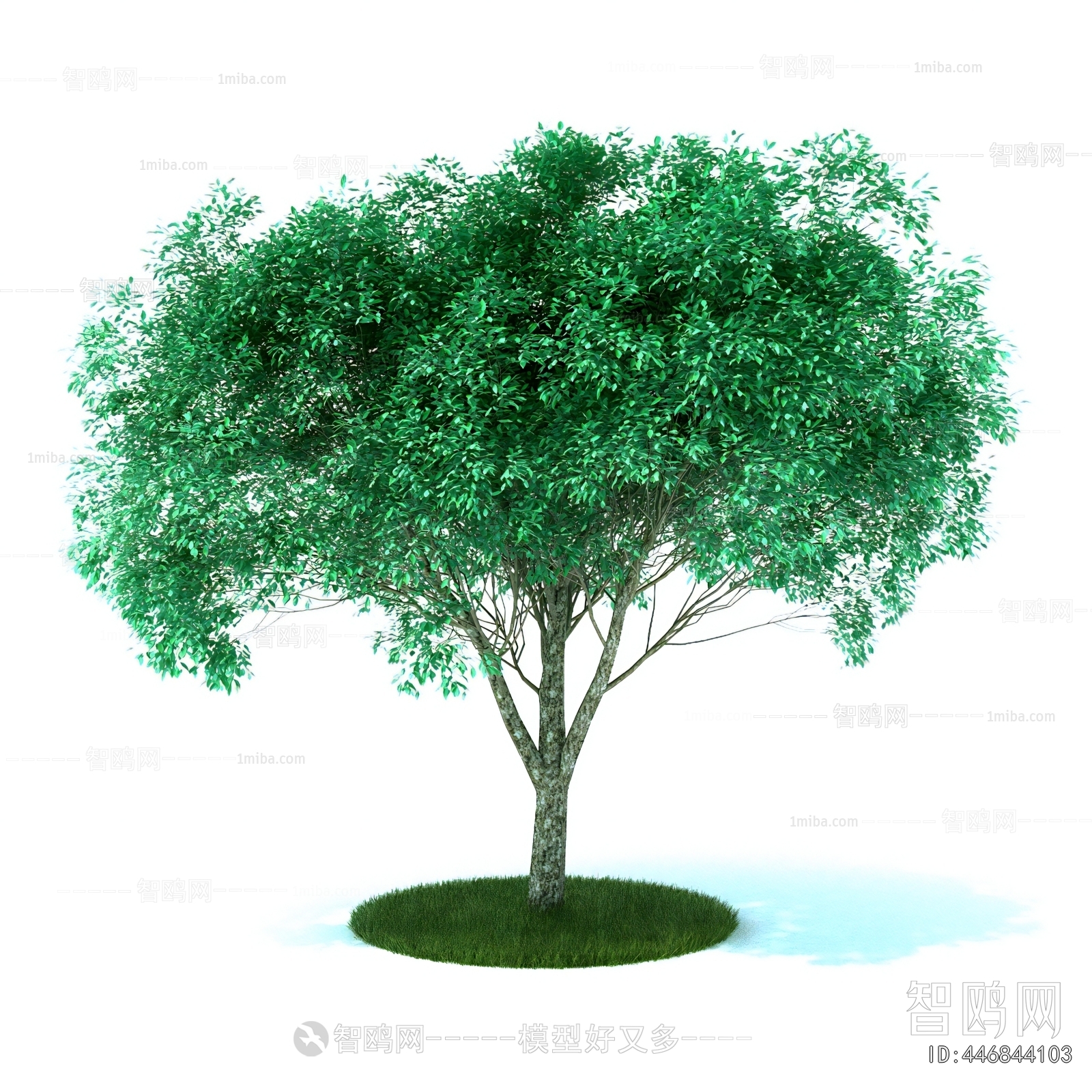 Modern Tree