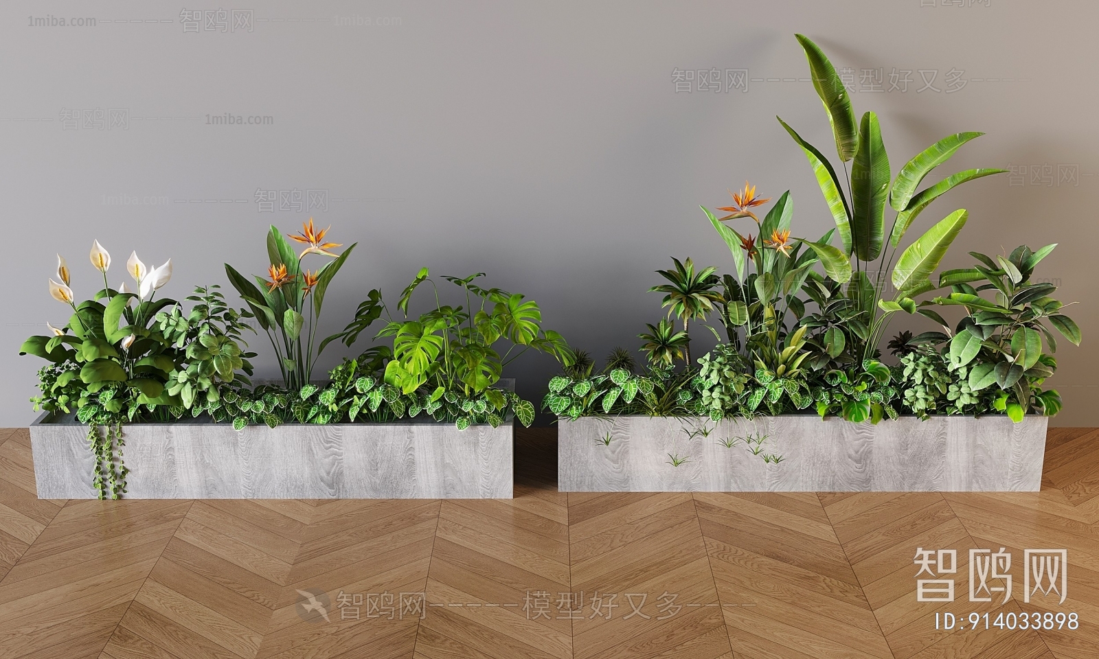 Modern Plant Landscaping