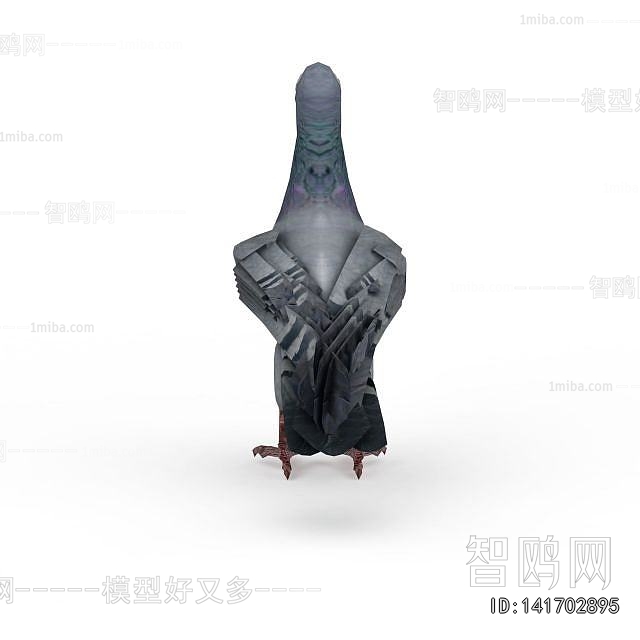 Modern Flying Animals