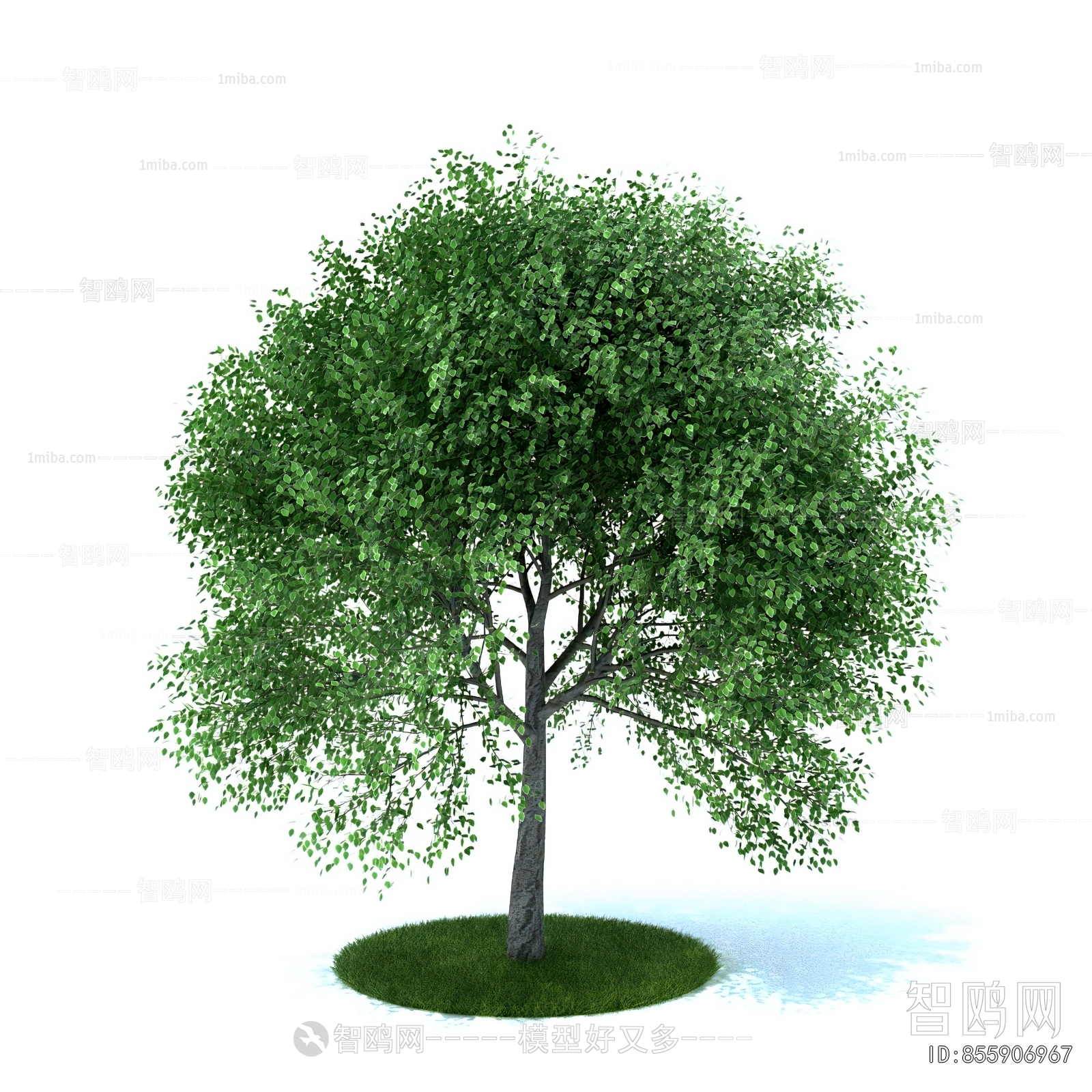 Modern Tree