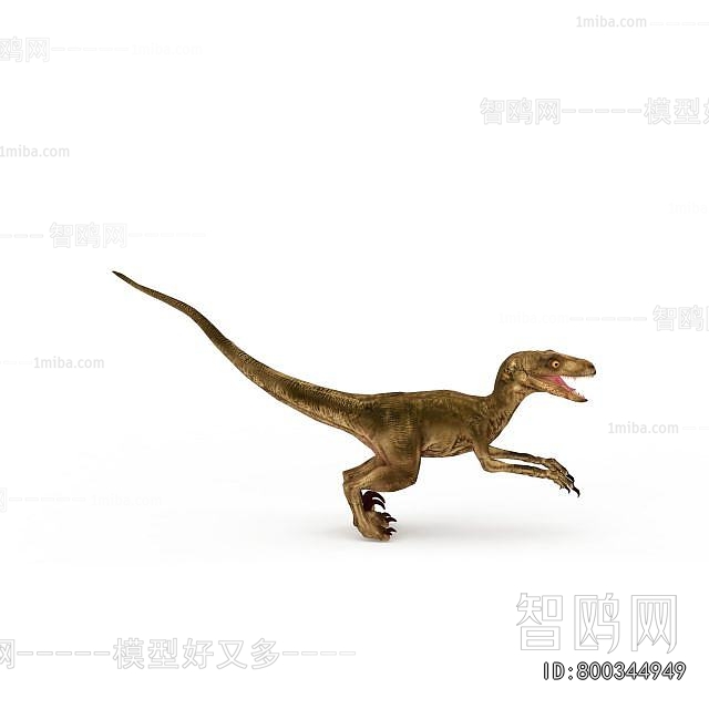 Modern Other Animals