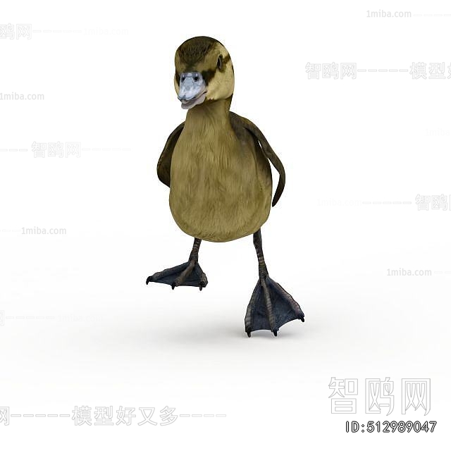 Modern Flying Animals