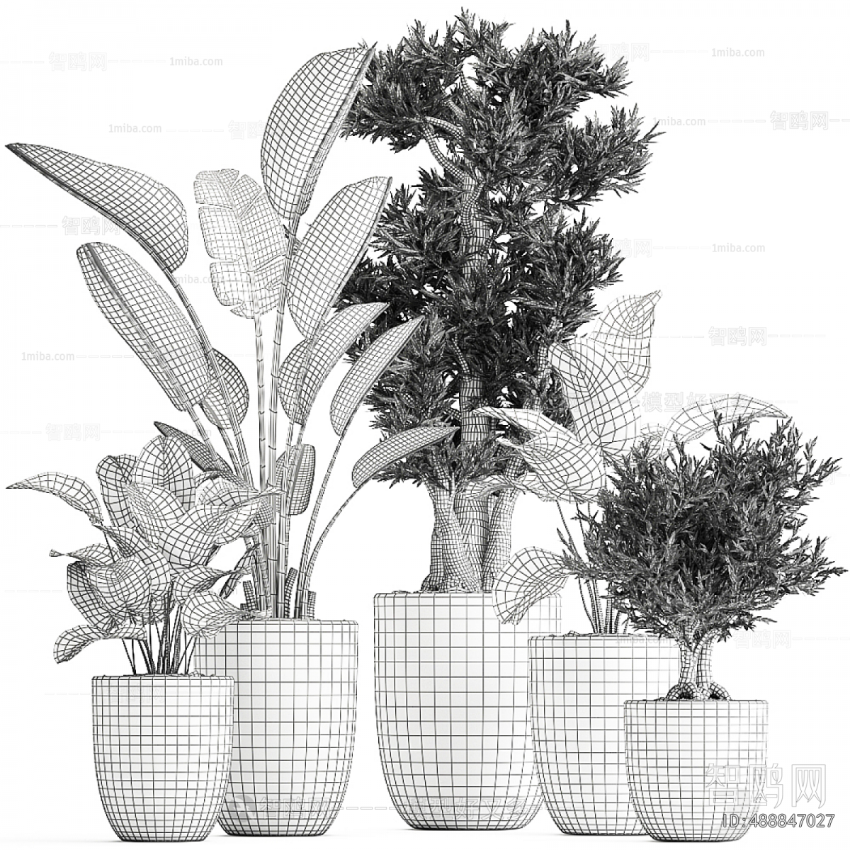 Modern Ground Green Plant Potted Plants