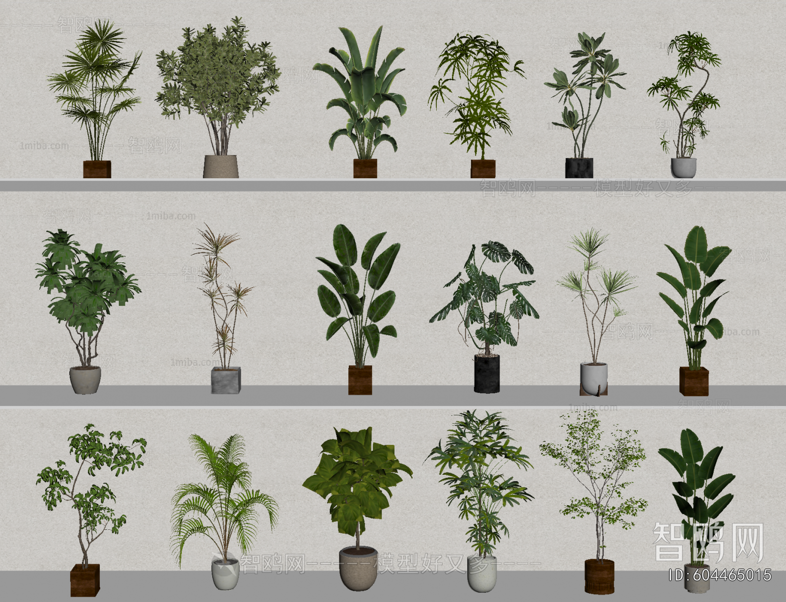 Modern Potted Green Plant