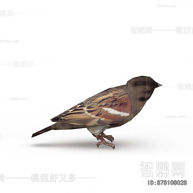 Modern Flying Animals