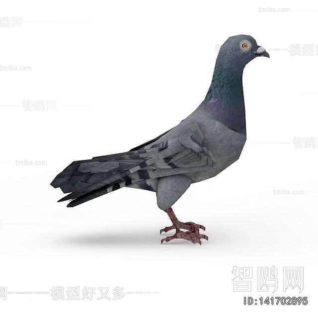 Modern Flying Animals