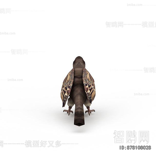 Modern Flying Animals