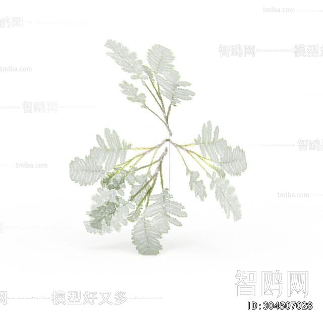 Modern Clothes, Bags And Shoes