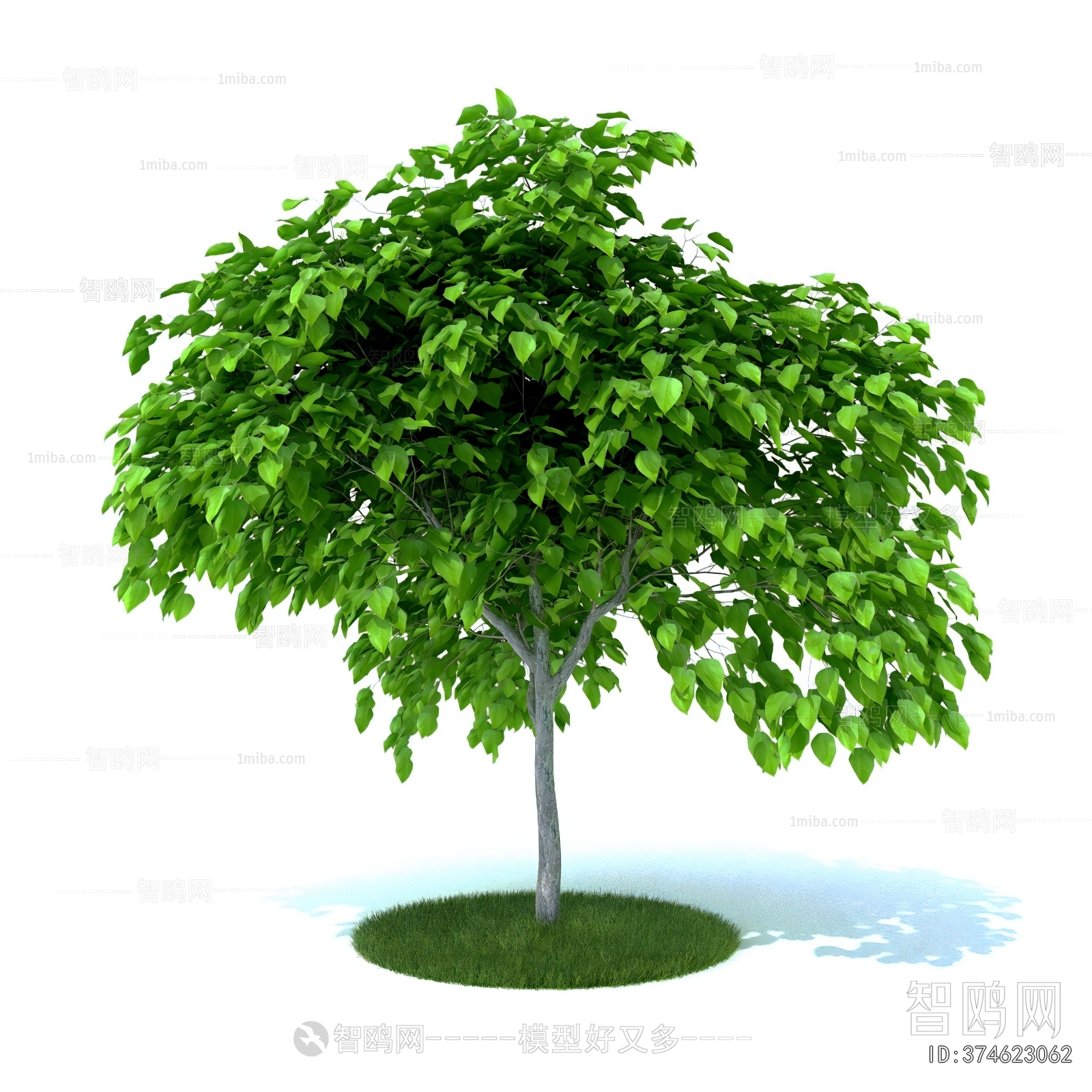 Modern Tree