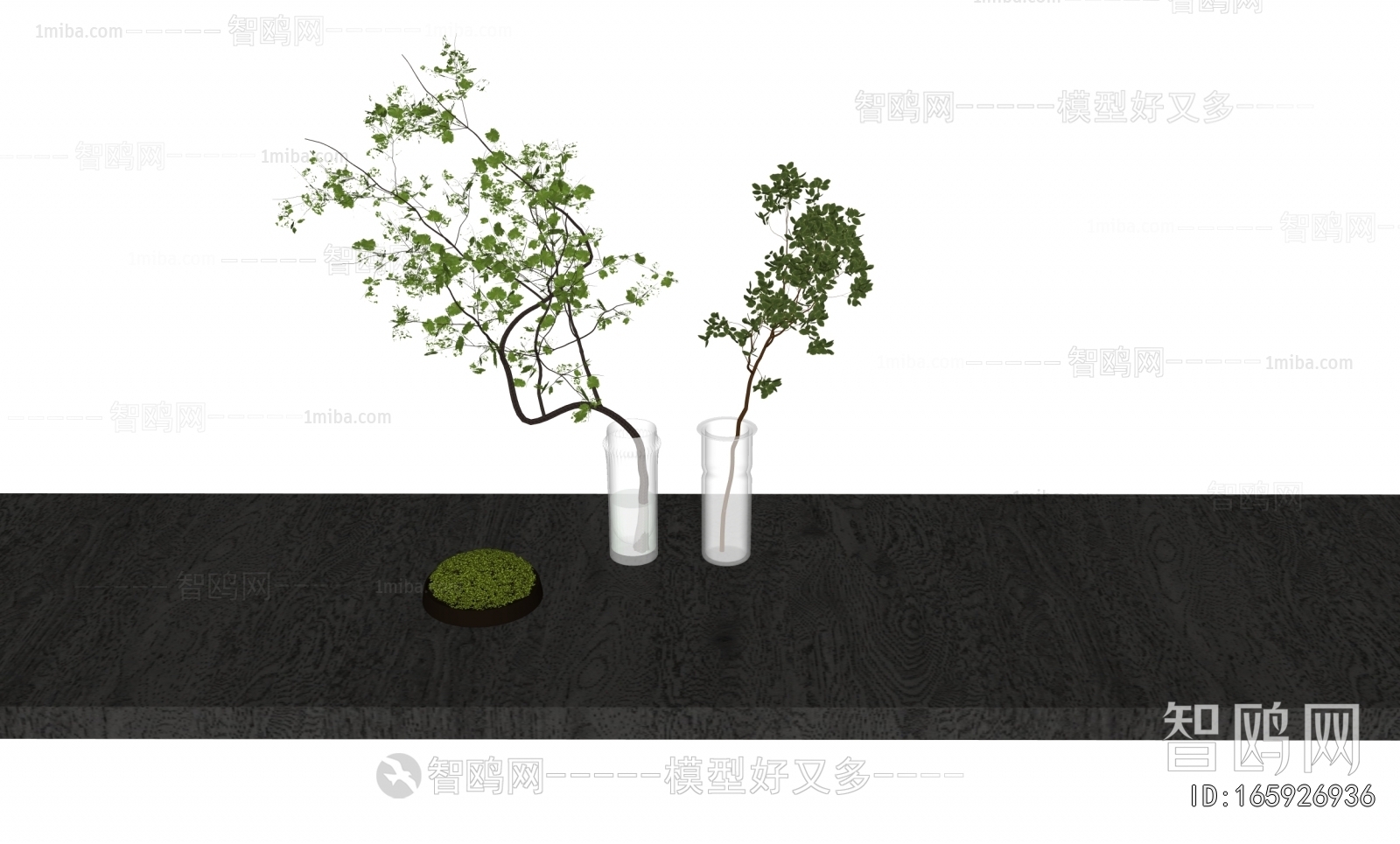 Modern Aquatic Green Plant