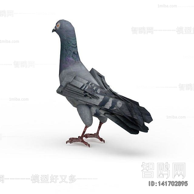 Modern Flying Animals