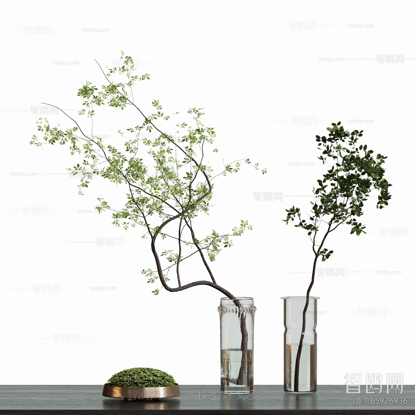 Modern Aquatic Green Plant