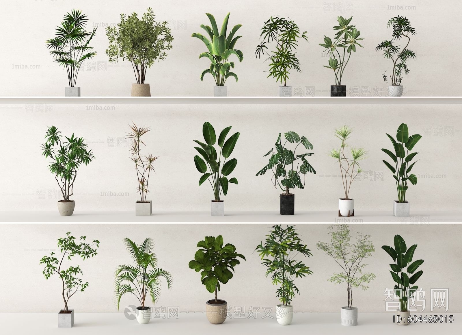 Modern Potted Green Plant