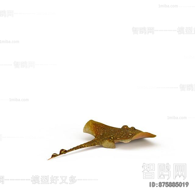 Modern Aquatic Animals