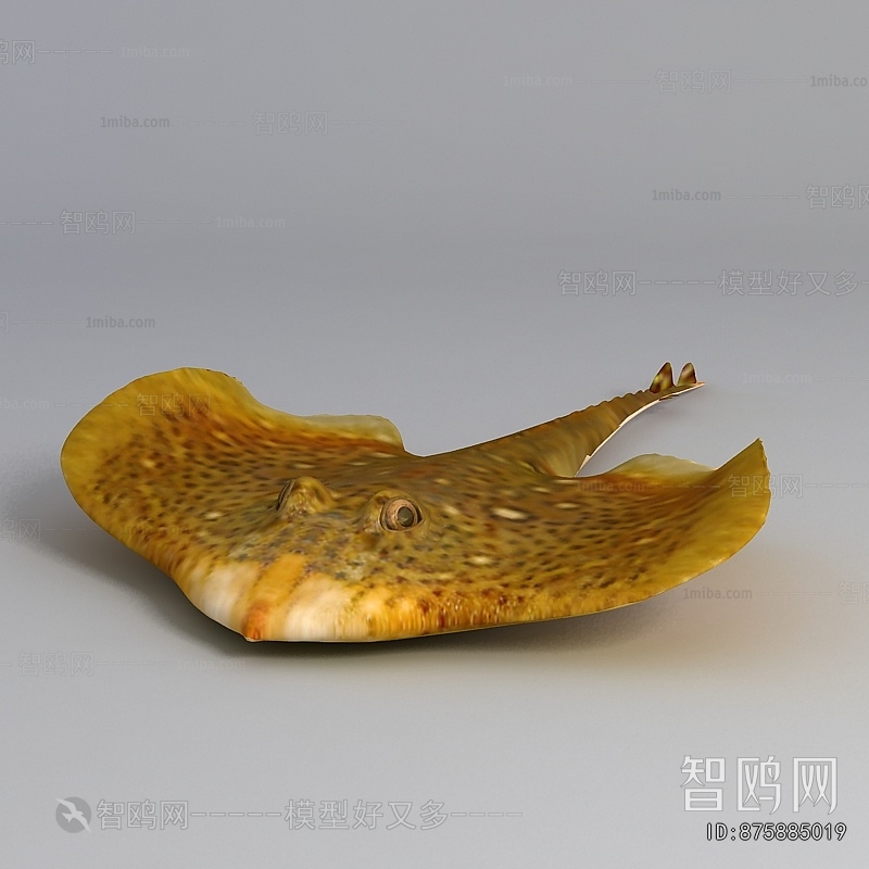 Modern Aquatic Animals