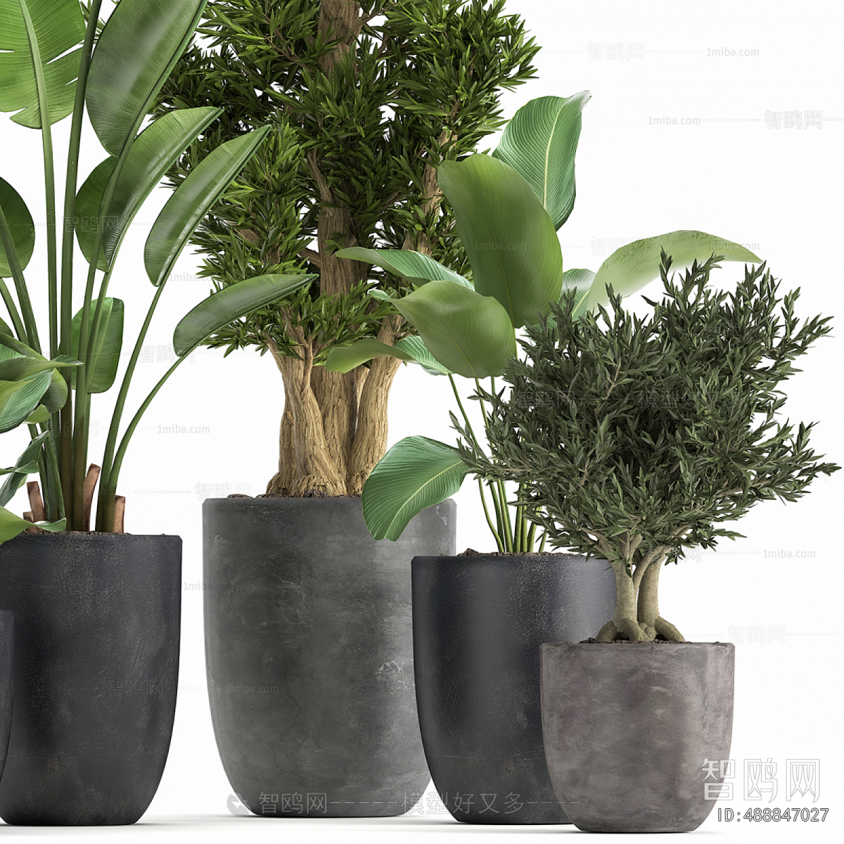 Modern Ground Green Plant Potted Plants