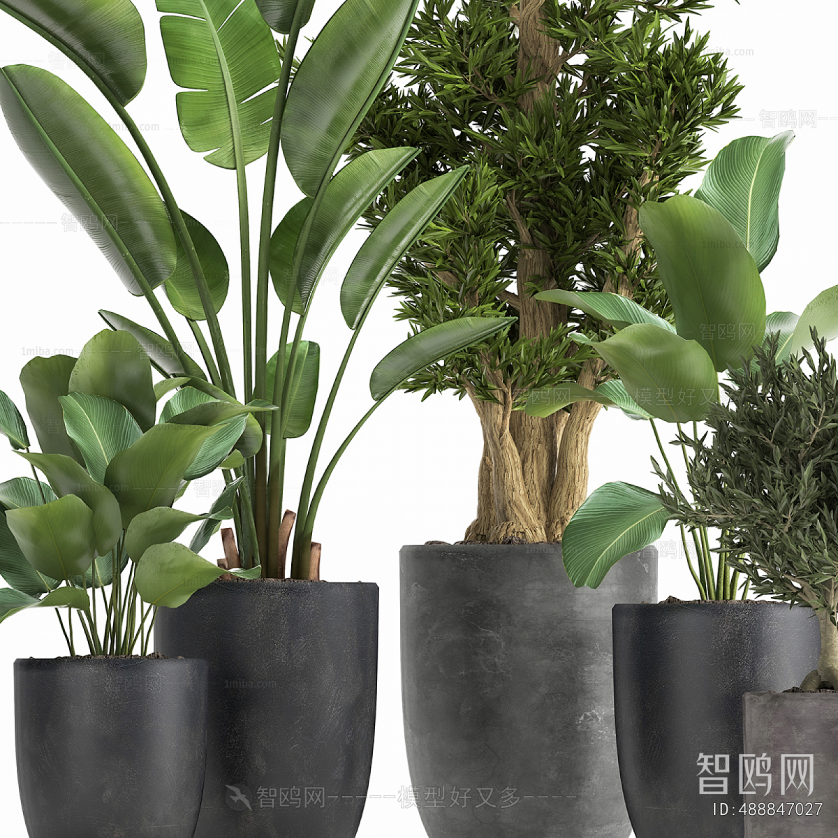 Modern Ground Green Plant Potted Plants