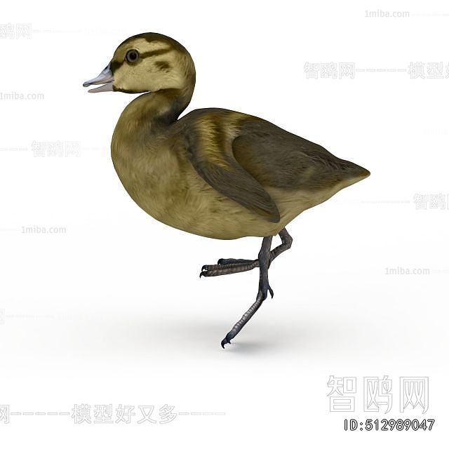 Modern Flying Animals