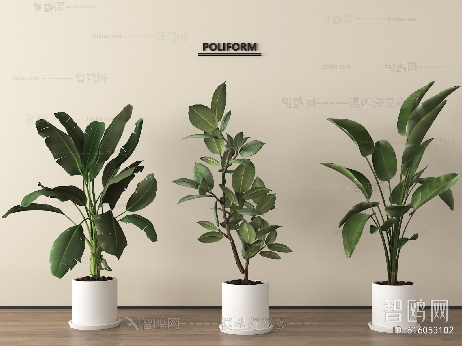 Modern Ground Green Plant Potted Plants