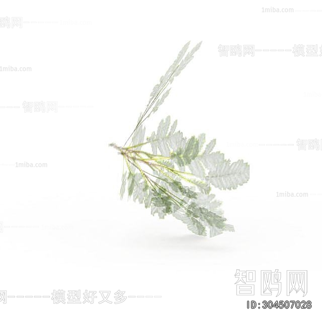 Modern Clothes, Bags And Shoes