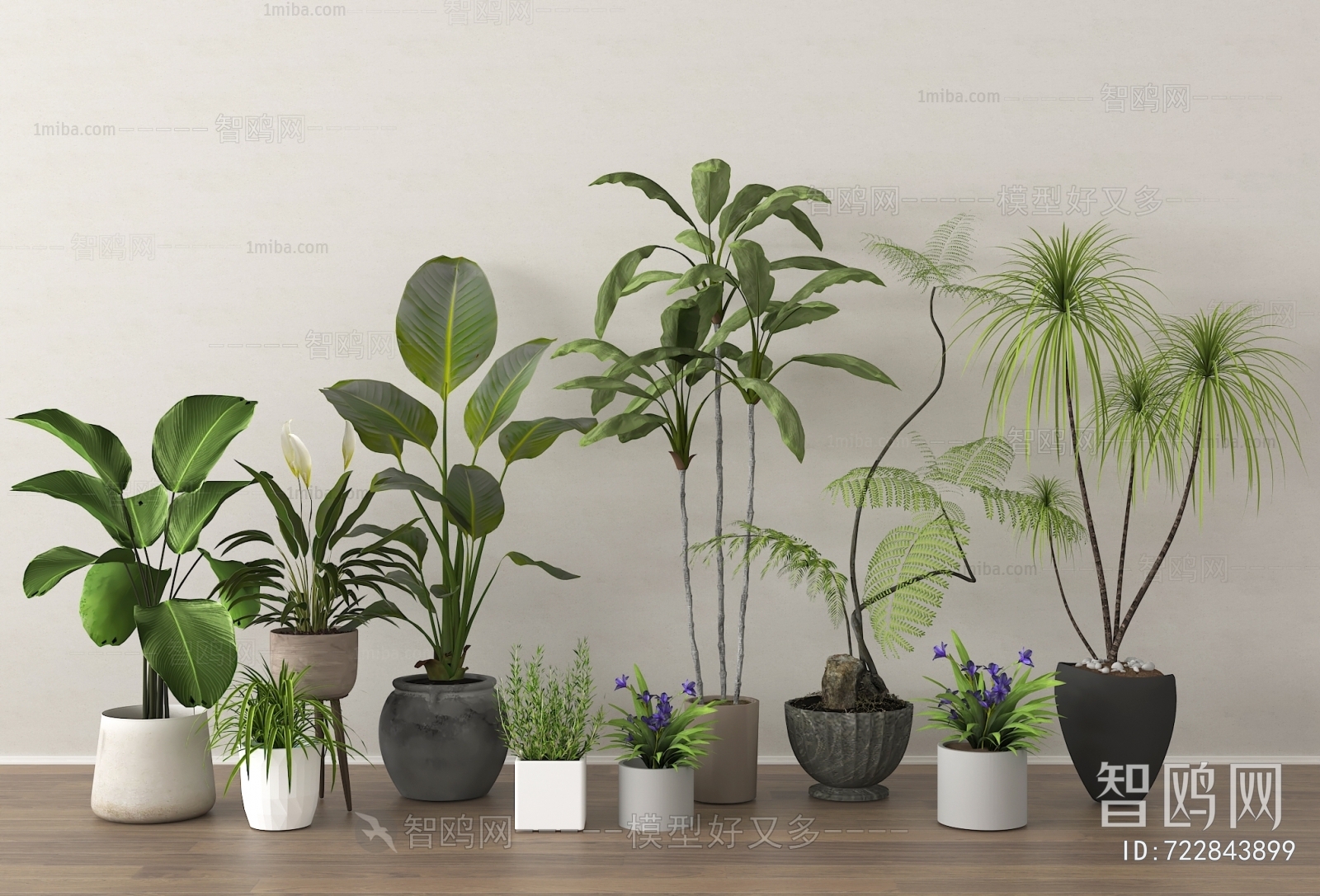 Modern Ground Green Plant Potted Plants