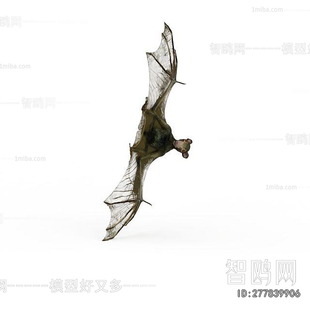 Modern Flying Animals