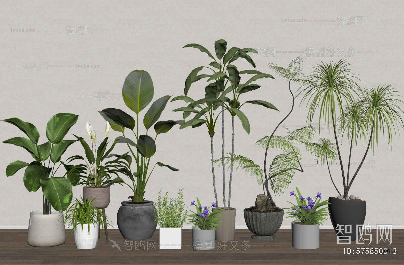 Modern Ground Green Plant Potted Plants