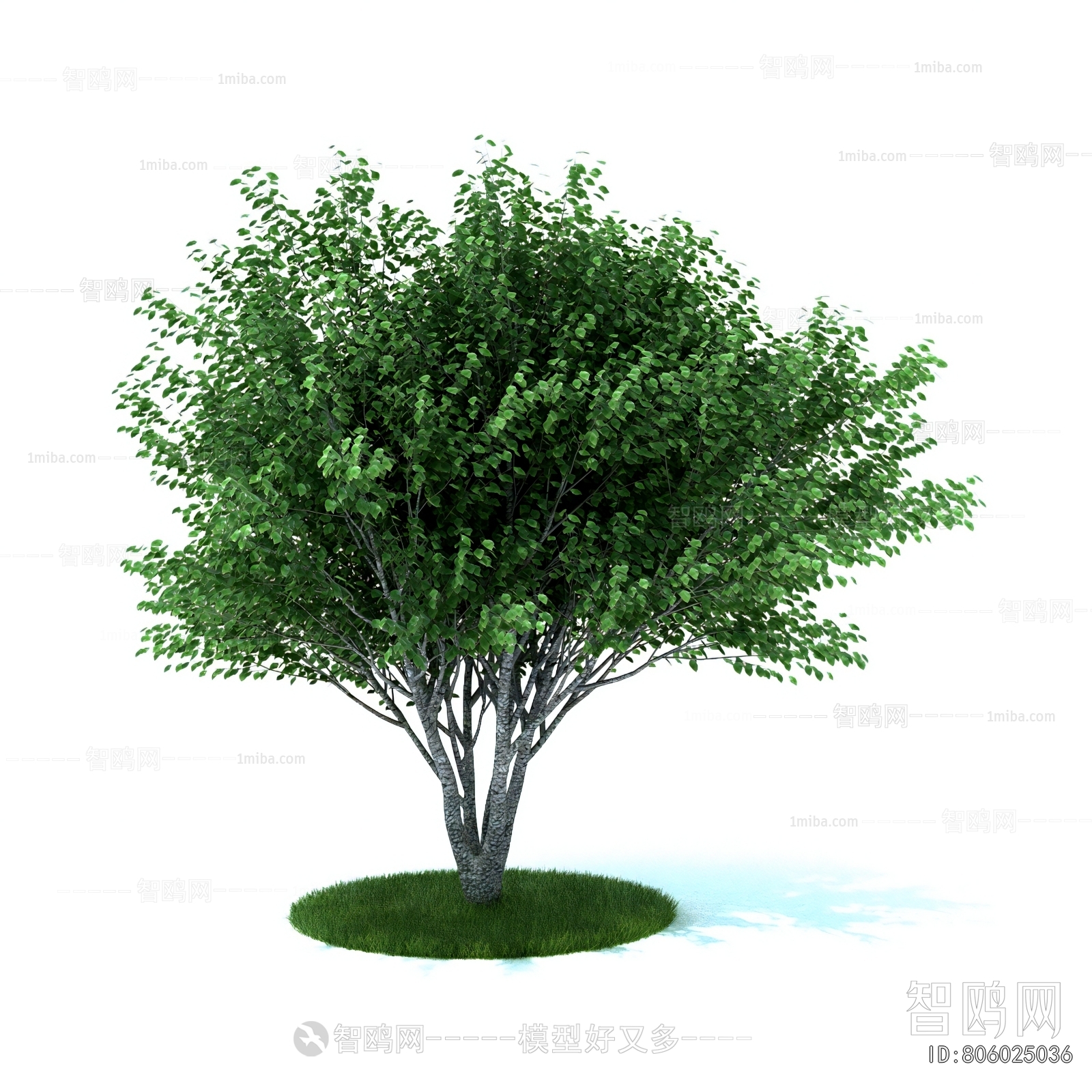 Modern Tree