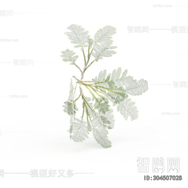 Modern Clothes, Bags And Shoes