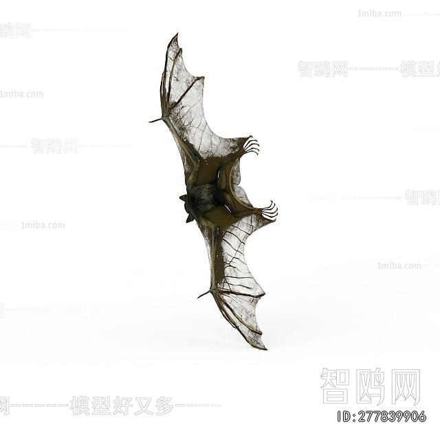 Modern Flying Animals