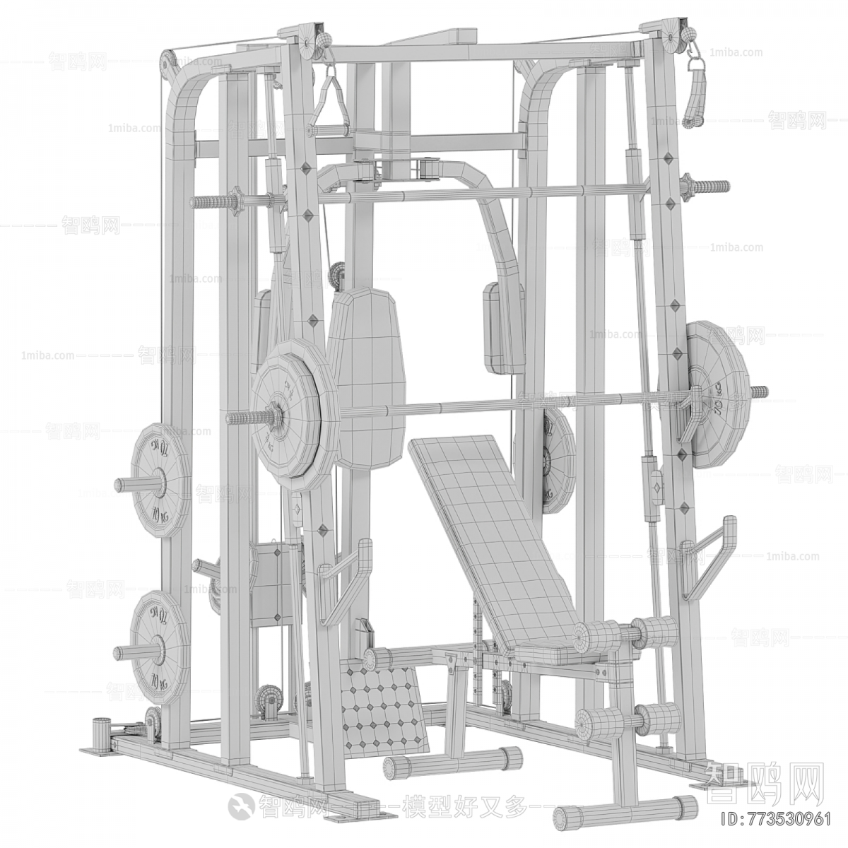 Modern Fitness Equipment