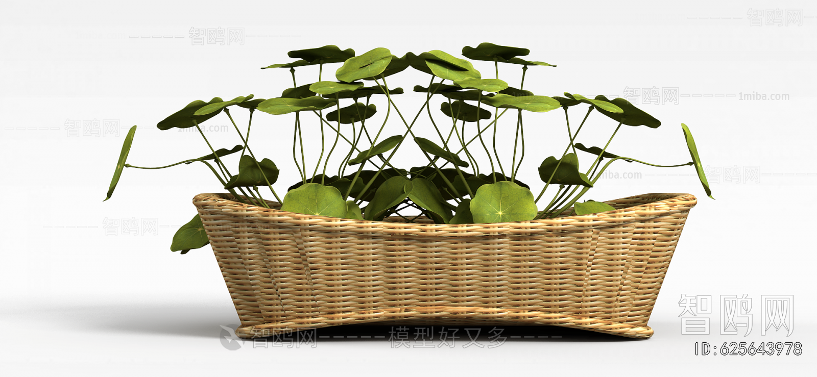 Modern Potted Green Plant