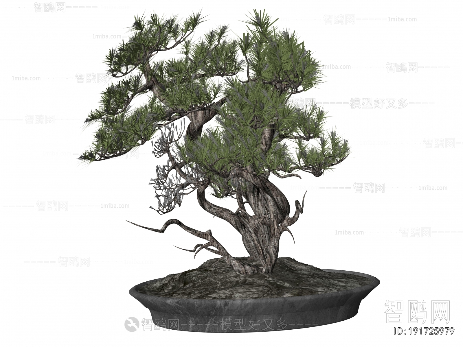 New Chinese Style Bonsai
