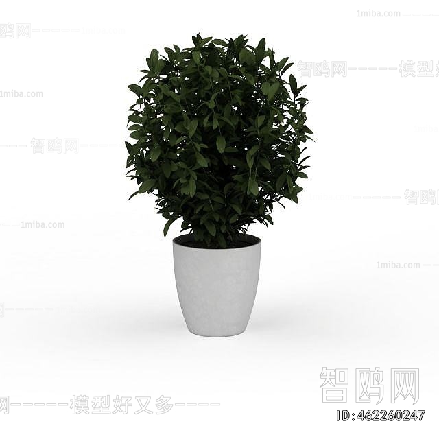 Modern Potted Green Plant