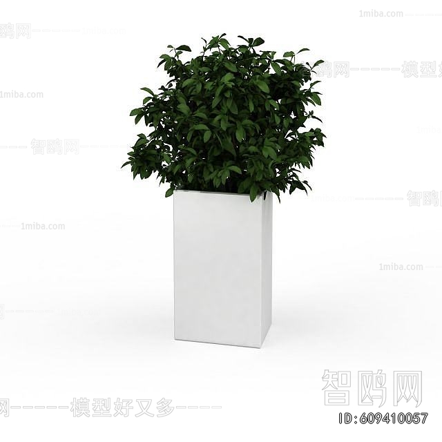 Modern Flower Bed, Flower Bowl, Flower Box