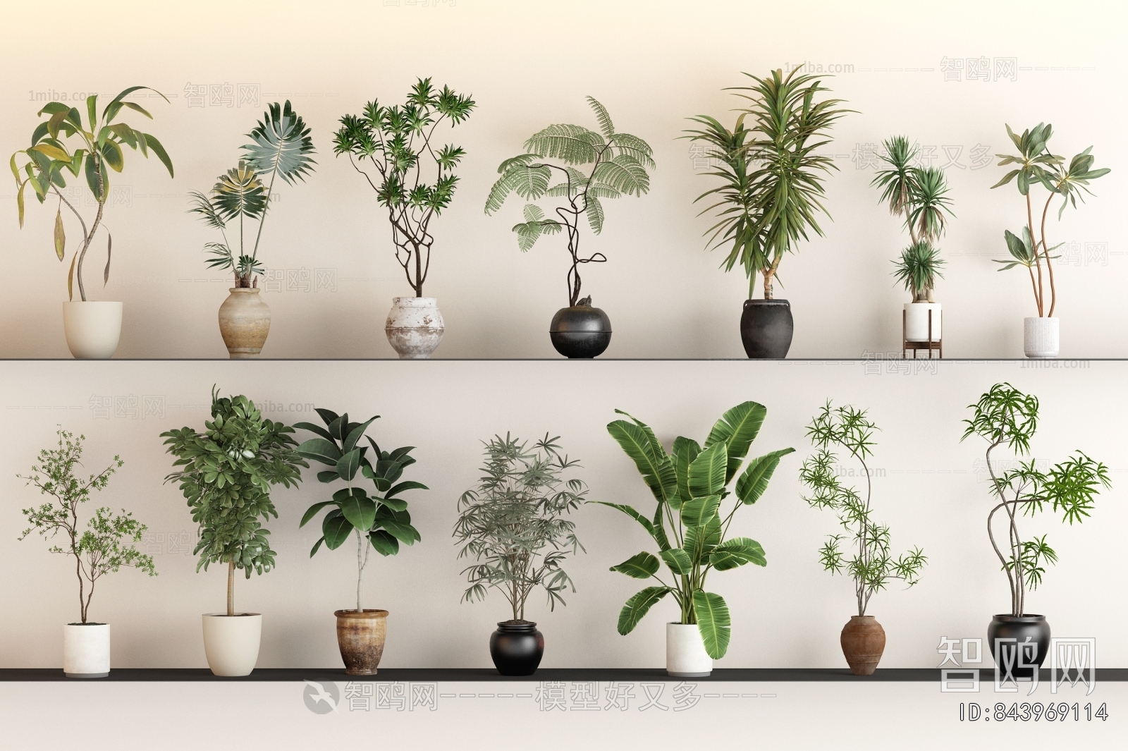 Modern Ground Green Plant Potted Plants