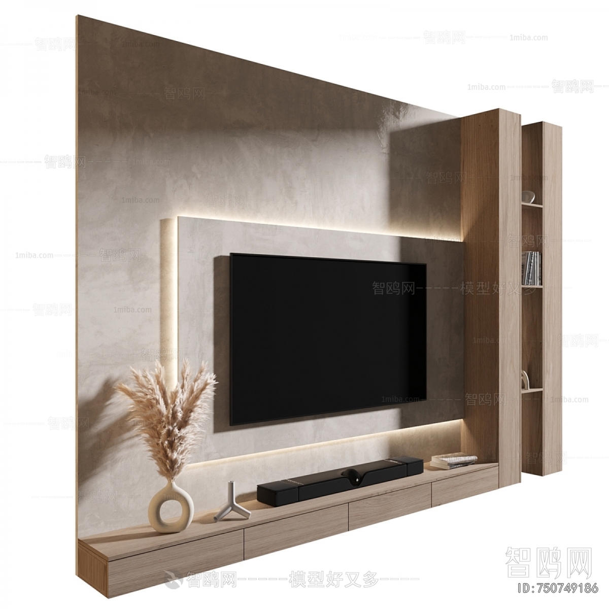 Modern TV Wall