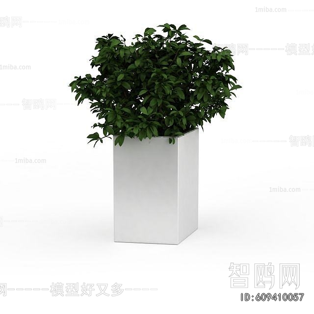 Modern Flower Bed, Flower Bowl, Flower Box