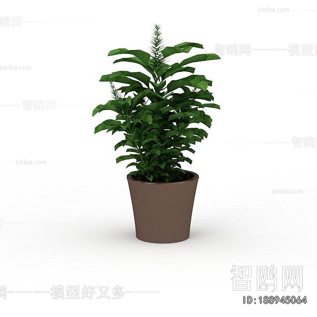 Modern Desktop Plant