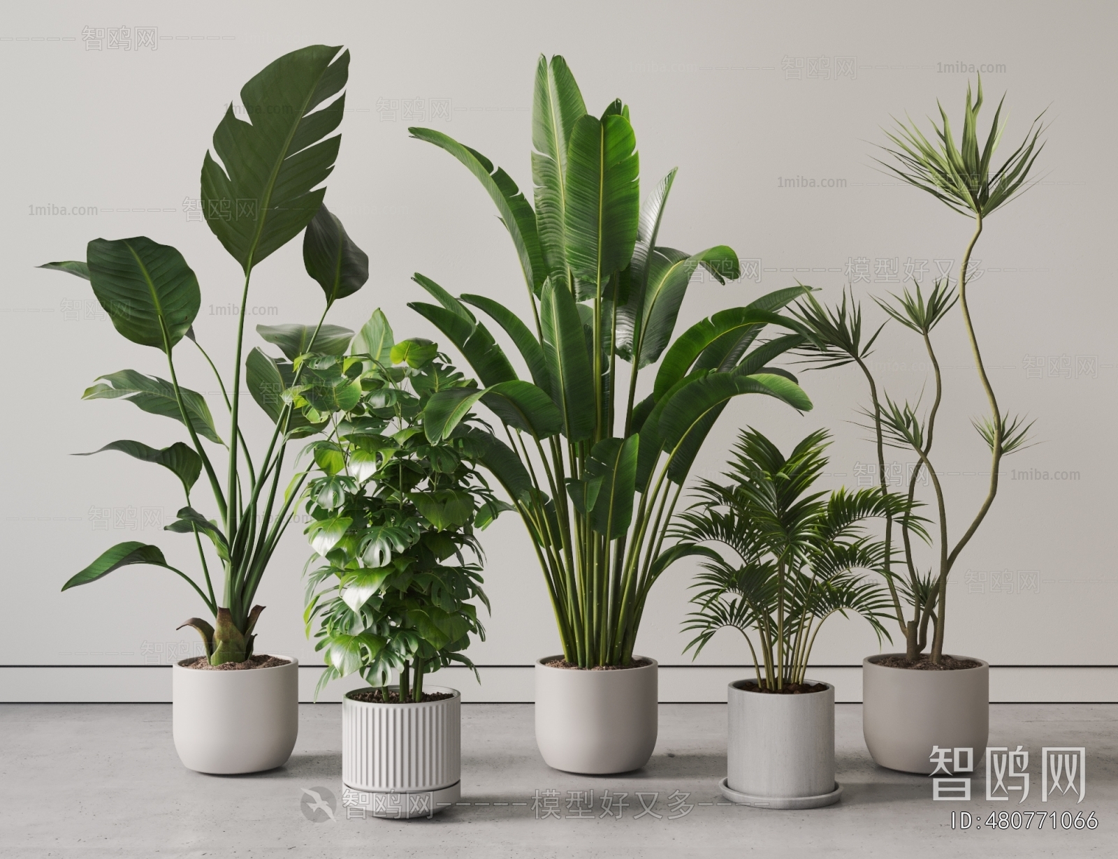 Modern Ground Green Plant Potted Plants