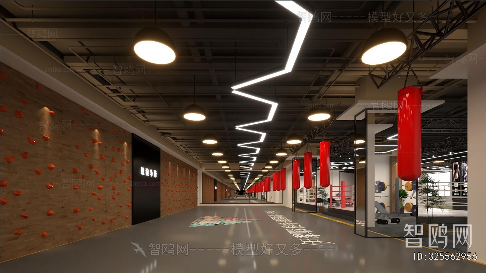 Industrial Style Gym