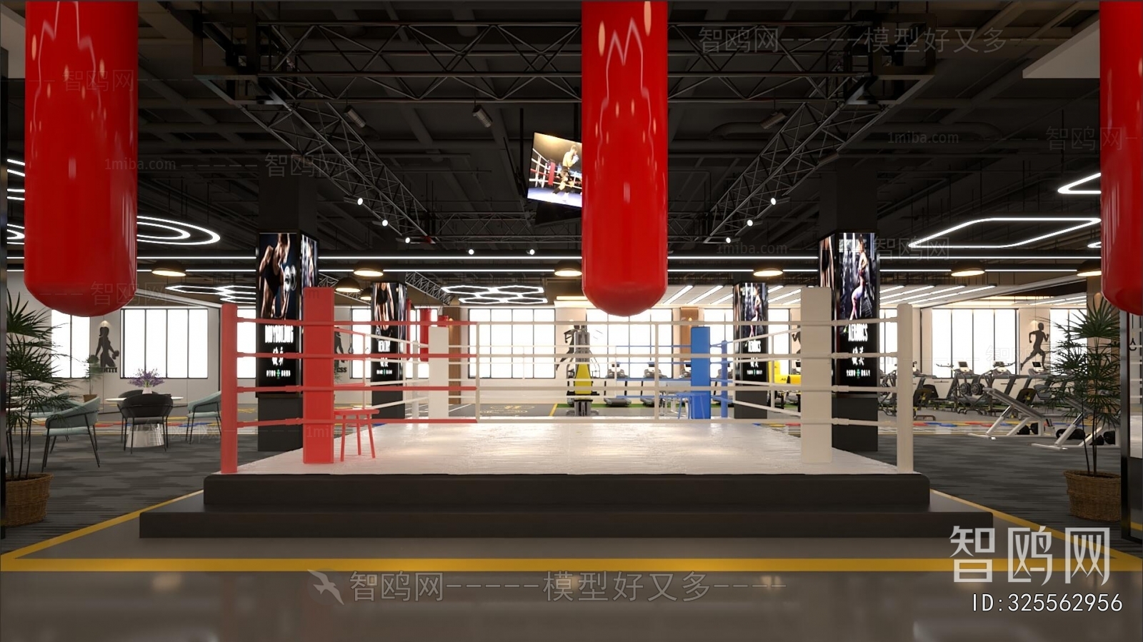 Industrial Style Gym