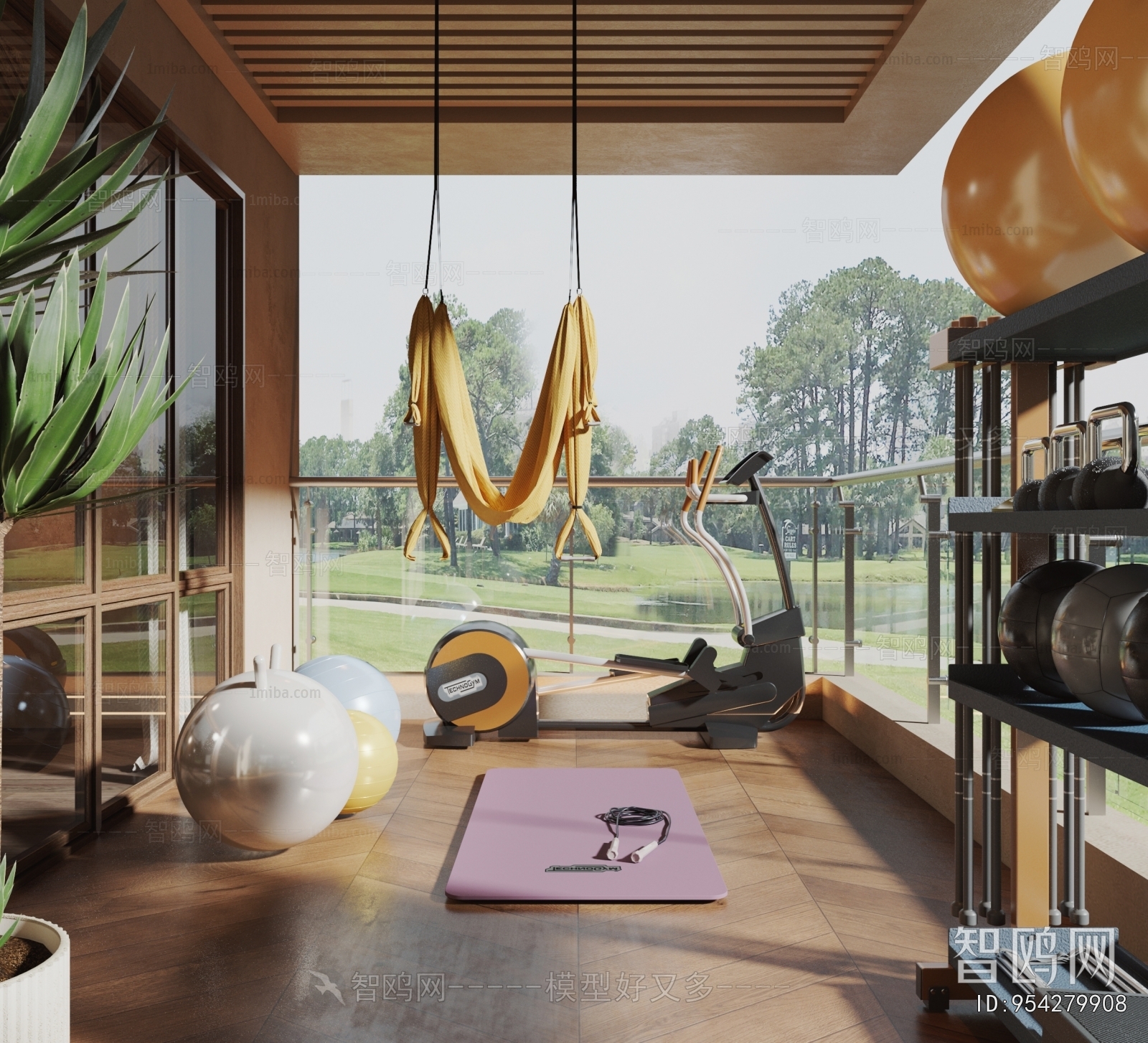 Modern Home Fitness Room
