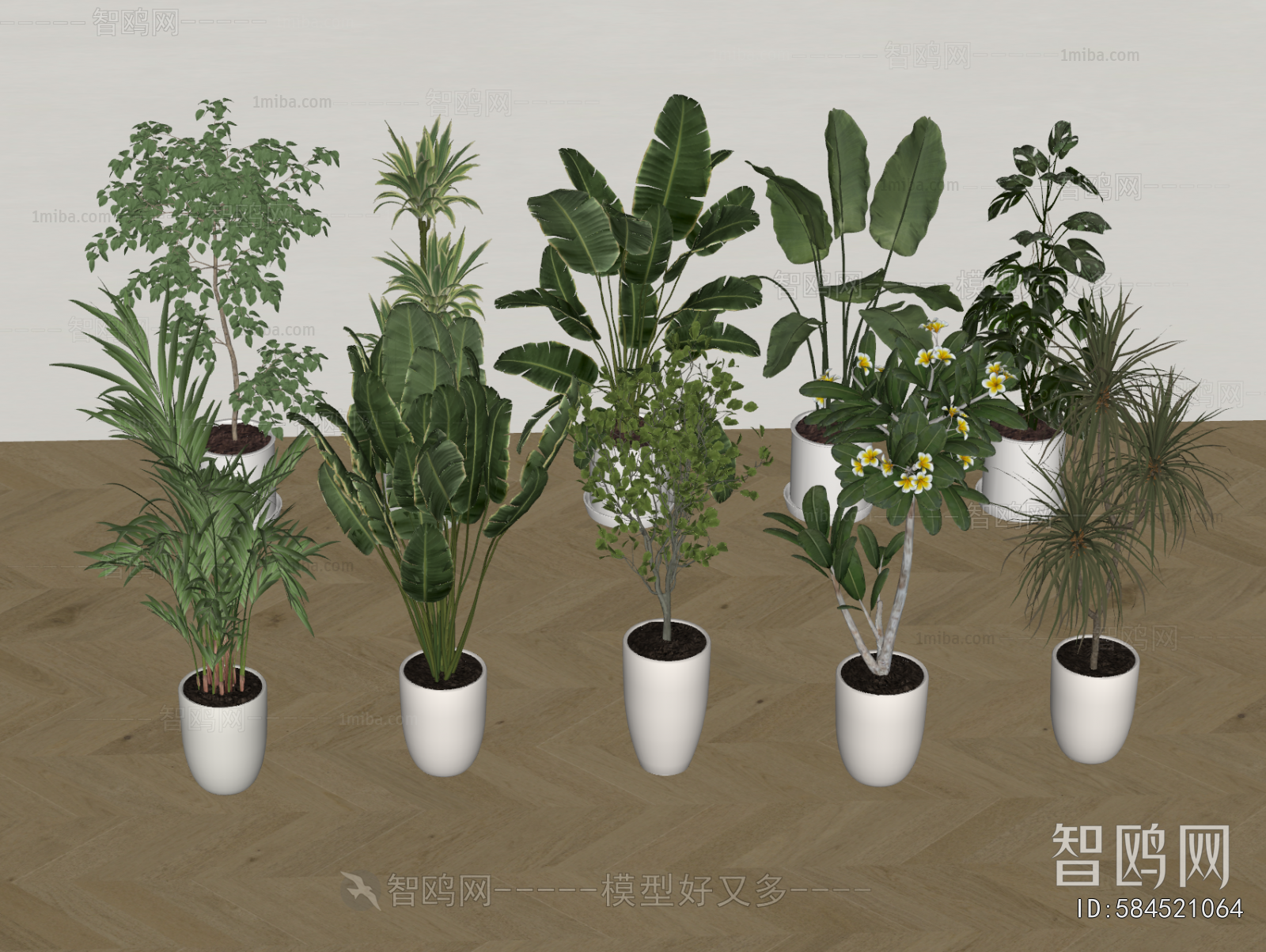 Modern Ground Green Plant Potted Plants