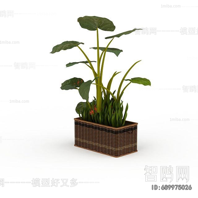 Modern Flower Bed, Flower Bowl, Flower Box