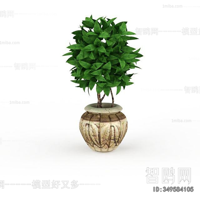 Modern Potted Green Plant