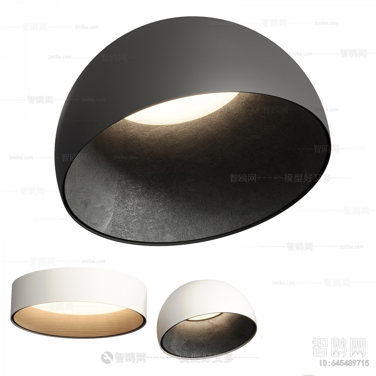 Modern Ceiling Ceiling Lamp