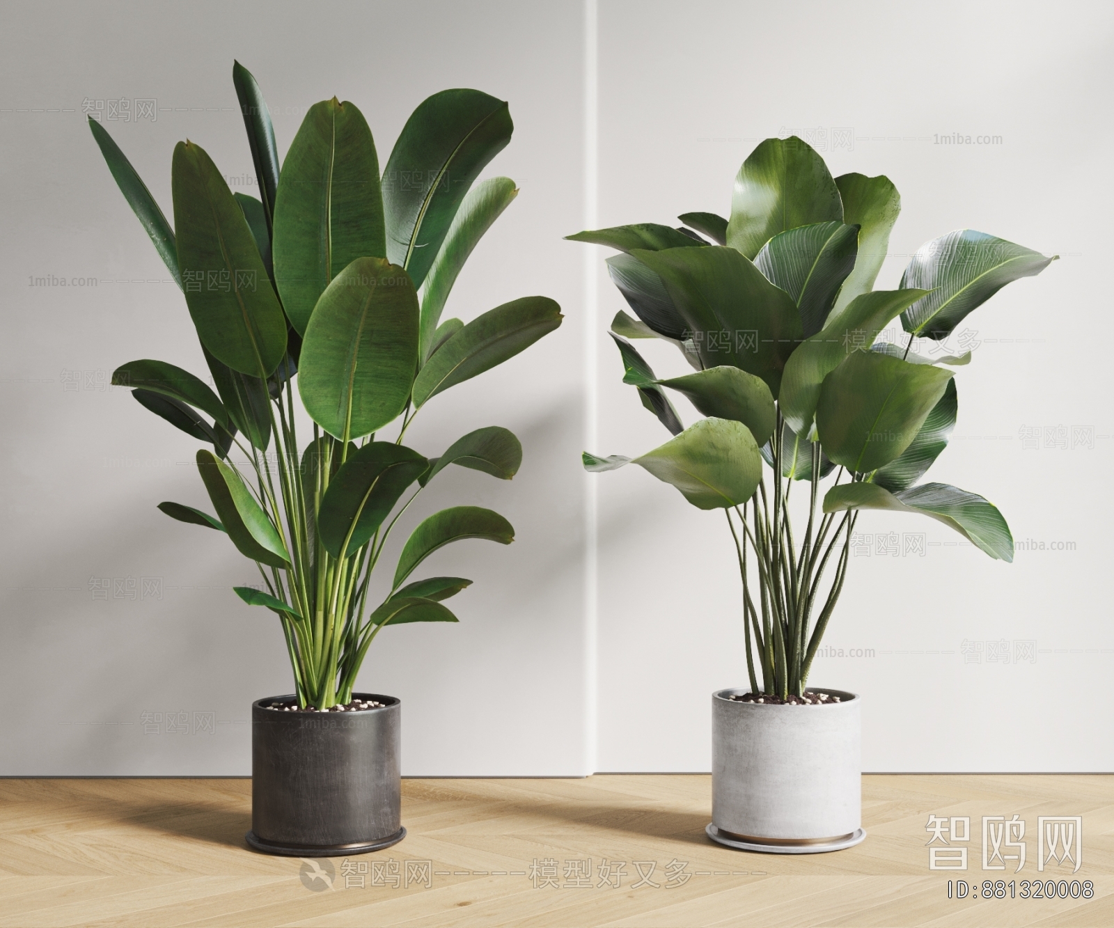 Modern Ground Green Plant Potted Plants