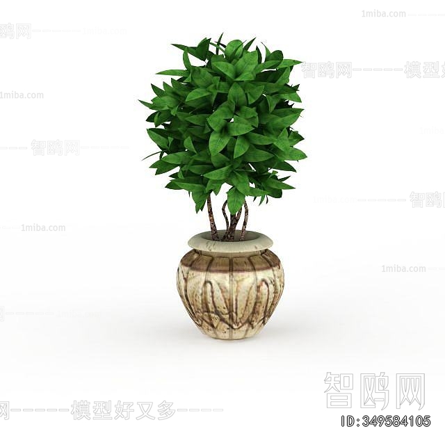 Modern Potted Green Plant